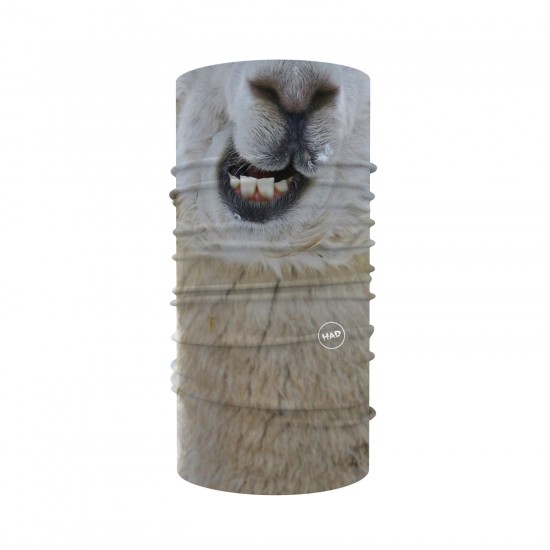 Alpaca Alpaca