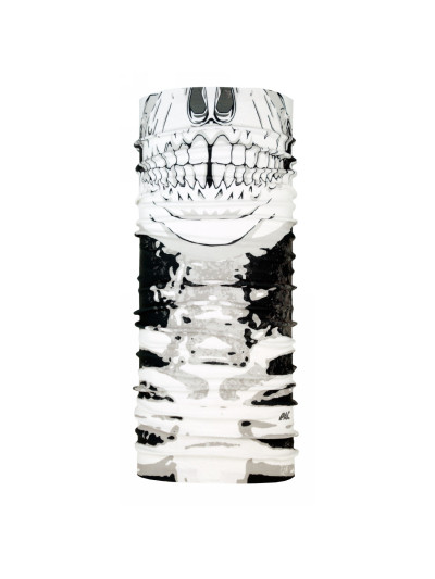 Skull Head Skull Head